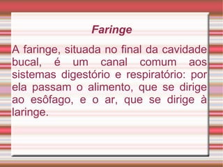 Faringe A faringe, situada no final da cavidade bucal, é um canal comum aos sistemas digestório e respiratório: por ela passam o alimento, que se dirige ao esôfago, e o ar, que se dirige à laringe. 