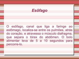 Esôfago O esôfago, canal que liga a faringe ao estômago, localiza-se entre os pulmões, atrás do coração, e atravessa o músculo diafragma, que separa o tórax do abdômen. O bolo alimentar leva de 5 a 10 segundos para percorre-lo. 