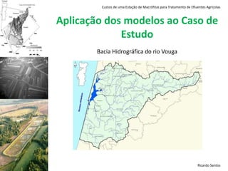 Boas taxas de remoção de nutrientesRicardo Santos
