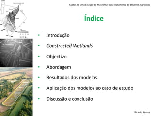 Custos de uma Estação de Macrófitas para Tratamento de Efluentes AgrícolasÍndiceIntrodução