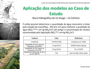 Analise estatísticaRicardo Santos