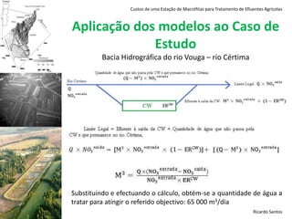 Custos de uma Estação de Macrófitas para Tratamento de Efluentes AgrícolasAbordagem – Definição de CustosBaseado na literatura, nomeadamente, nos estudos da base de dados e em Borboudakiet al. (2005) e Söderqvist (2002), dividem-se os custos em dois tipos:Ricardo Santos