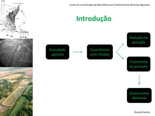 Constructed Wetlands