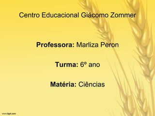 Centro Educacional Giácomo Zommer
Professora: Marliza Peron
Turma: 6º ano
Matéria: Ciências
 