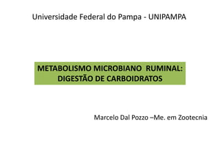 METABOLISMO MICROBIANO RUMINAL:
DIGESTÃO DE CARBOIDRATOS
Marcelo Dal Pozzo –Me. em Zootecnia
Universidade Federal do Pampa - UNIPAMPA
 