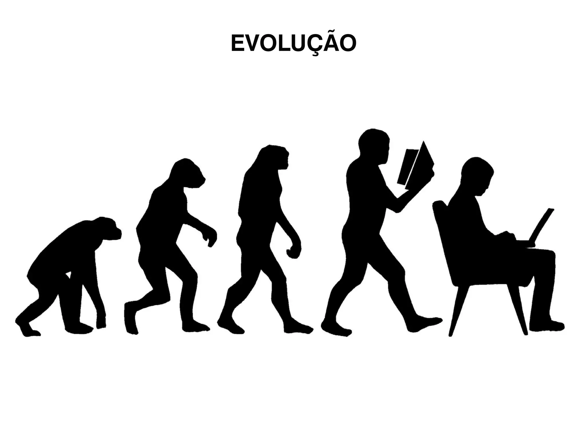 EVOLUÇÃO 