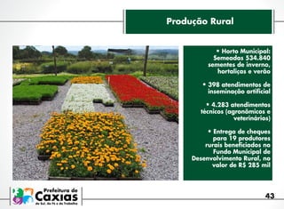 Produção Rural
•	Horto Municipal:

Semeadas 534.840
sementes de inverno,
hortaliças e verão

•	398 atendimentos de
inseminação artificial

•	4.283 atendimentos

técnicos (agronômicos e
veterinários)

•	Entrega de cheques

para 19 produtores
rurais beneficiados no
Fundo Municipal de
Desenvolvimento Rural, no
valor de R$ 285 mil

43

 