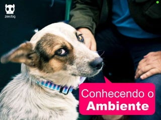 Plano de Marketing ZeeDog