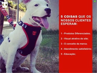 Plano de Marketing ZeeDog