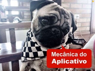 Plano de Marketing ZeeDog