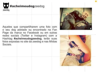 Plano de Marketing ZeeDog