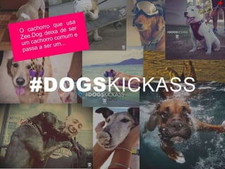 Plano de Marketing ZeeDog