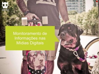 Plano de Marketing ZeeDog