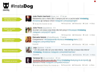 Plano de Marketing ZeeDog