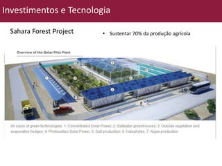 Investimentos e Tecnologia 
Sahara Forest Project • Sustentar 70% da produção agrícola 
 