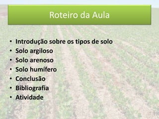 Roteiro da Aula 
• Introdução sobre os tipos de solo 
• Solo argiloso 
• Solo arenoso 
• Solo humífero 
• Conclusão 
• Bibliografia 
• Atividade 
 
