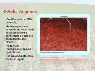 Solo Argiloso 
•Contêm mais de 30% 
de argila. 
•Retém água e sais 
minerais em quantidade 
necessária para a 
fertilidade do solo e o 
crescimento das 
plantas. 
•Pode ficar 
“encharcado” demais 
após chuvas. 
•Em um ambiente seco, 
torna-se rígido. 
 