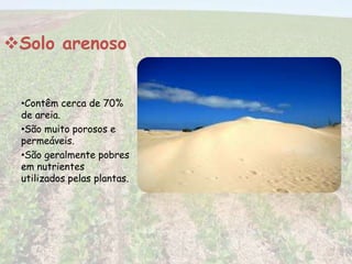 Solo arenoso 
•Contêm cerca de 70% 
de areia. 
•São muito porosos e 
permeáveis. 
•São geralmente pobres 
em nutrientes 
utilizados pelas plantas. 
 
