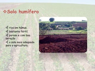 Solo humífero 
•É rica em húmus. 
•É bastante fértil. 
•É poroso e com boa 
aeração . 
•É o solo mais adequado 
para a agricultura. 
 
