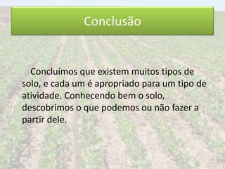 Conclusão 
Concluímos que existem muitos tipos de 
solo, e cada um é apropriado para um tipo de 
atividade. Conhecendo bem o solo, 
descobrimos o que podemos ou não fazer a 
partir dele. 
 