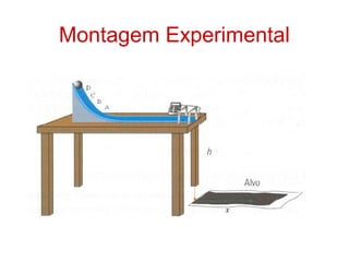 Montagem Experimental
x
 