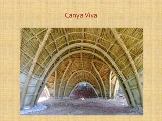CanyaViva
 