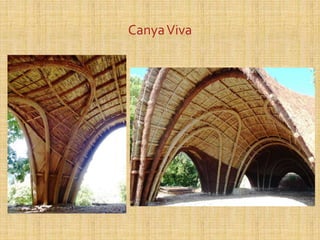 CanyaViva
 