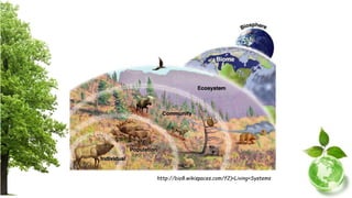 http://bio8.wikispaces.com/f2)+Living+Systems
 