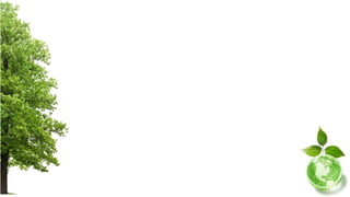 EcologiaApresentação