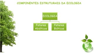 COMPONENTES ESTRUTURAIS DA ECOLOGIA
ECOLOGIA
Fatores
Abióticos
Fatores
Bióticos
 