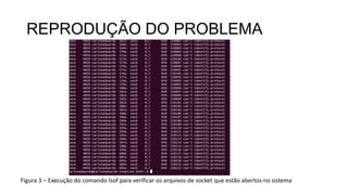 REPRODUÇÃO DO PROBLEMA
Figura 3 – Execução do comando lsof para verificar os arquivos de socket que estão abertos no sistema
 