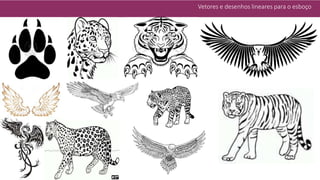 Vetores e desenhos lineares para o esboço
 