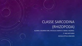 CLASSE SARCODINA
(RHIZOPODA)
ALUNOS: EDUARDO ERN, NYCOLAS CAMPOS E ISMAEL NAZÁRIO.
2° ANO NOTURNO
ESCOLA ATTELA JENICHEN
 