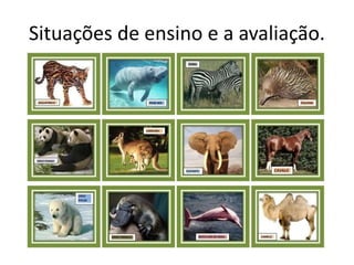 Situações de ensino e a avaliação.
 