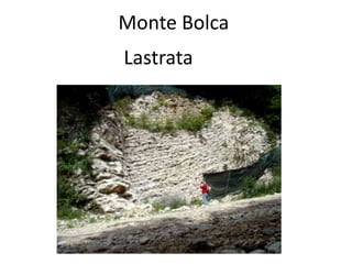 Lastrata
Monte Bolca
 