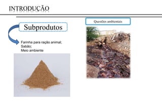 INTRODUÇÃO
Subprodutos
Questões ambientais
Farinha para ração animal;
Sabão;
Meio ambiente
 