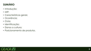 2
• Introdução;
• MIP;
• Características gerais;
• Ocorrência;
• Ciclo;
• Identificação;
• Danos a cultura;
• Posicionamento de produtos.
SUMÁRIO
 