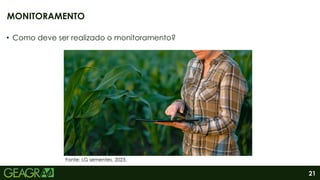 21
• Como deve ser realizado o monitoramento?
MONITORAMENTO
Fonte: LG sementes, 2023.
 