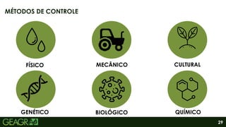 29
MÉTODOS DE CONTROLE
FÍSICO
QUÍMICO
BIOLÓGICO
GENÉTICO
CULTURAL
MECÂNICO
 