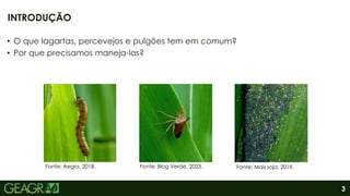 3
• O que lagartas, percevejos e pulgões tem em comum?
• Por que precisamos maneja-las?
INTRODUÇÃO
Fonte: Blog Verde, 2023. Fonte: Mais soja, 2019.
Fonte: Aegro, 2018.
 