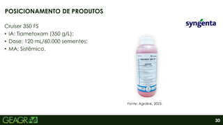30
Cruiser 350 FS
• IA: Tiametoxam (350 g/L);
• Dose: 120 mL/60.000 sementes;
• MA: Sistêmico.
POSICIONAMENTO DE PRODUTOS
Fonte: Agrolink, 2023.
 
