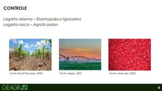 8
Lagarta elasmo – Elasmopalpus lignosellus
Lagarta rosca – Agrotis ipsilon
CONTROLE
Fonte: Rural Pecuária, 2023. Fonte: Aegro, 2021. Fonte: Mais soja, 2023.
 