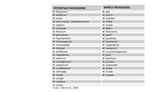 POTENTIALY PATHOGENIC RARELY PATHOGENIC
 