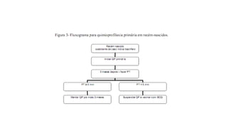 Profilaxia Primária
 