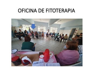 OFICINA DE FITOTERAPIA
 