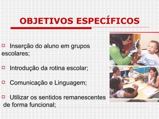 OBJETIVOS ESPECÍFICOS Inserção do aluno em grupos  escolares; Introdução da rotina escolar; Comunicação e Linguagem; Utilizar os sentidos remanescentes de forma funcional; 
