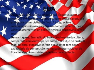 EUA
Vantagens: A cadeia do algodão nos Estados Unidos é
intensiva em capital em todos os segmentos,da produção
primária à comercialização final. A integração e
coordenação são asseguradas, fundamentalmente, pelos
vários instrumentos de política agrícola disponíveis para o
setor.
Desvantagens: Em razão do baixo rendimento da cultura,
comparado com outros países como o Brasil, e do custo da
mão-de-obra, é possível inferir que o setor tem pouca
capacidade de competição no mercado internacional de
fibra de algodão em sistema de livre concorrência.
 