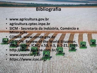 Bibliografia
• www.agricultura.gov.br
• agricultura.cptec.inpe.br
• SICM - Secretaria da Indústria, Comércio e
Mineração
• CONAB. www.conab.gov.br
• COTTON: Review of the World Situation.
Washington, ICAC, v.53, n.1, p.1-21, 1999.
• http://www.abrapa.com.br/
• www.cepea.org.br
• https://www.icac.org/
 