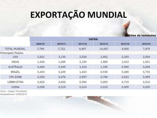 EXPORTAÇÃO MUNDIAL
Milhões de toneladas
 