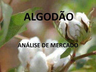 ALGODÃO
ANÁLISE DE MERCADO
 